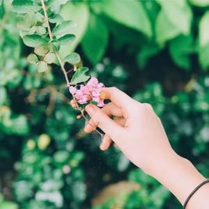 Meet your Posher, Ánh